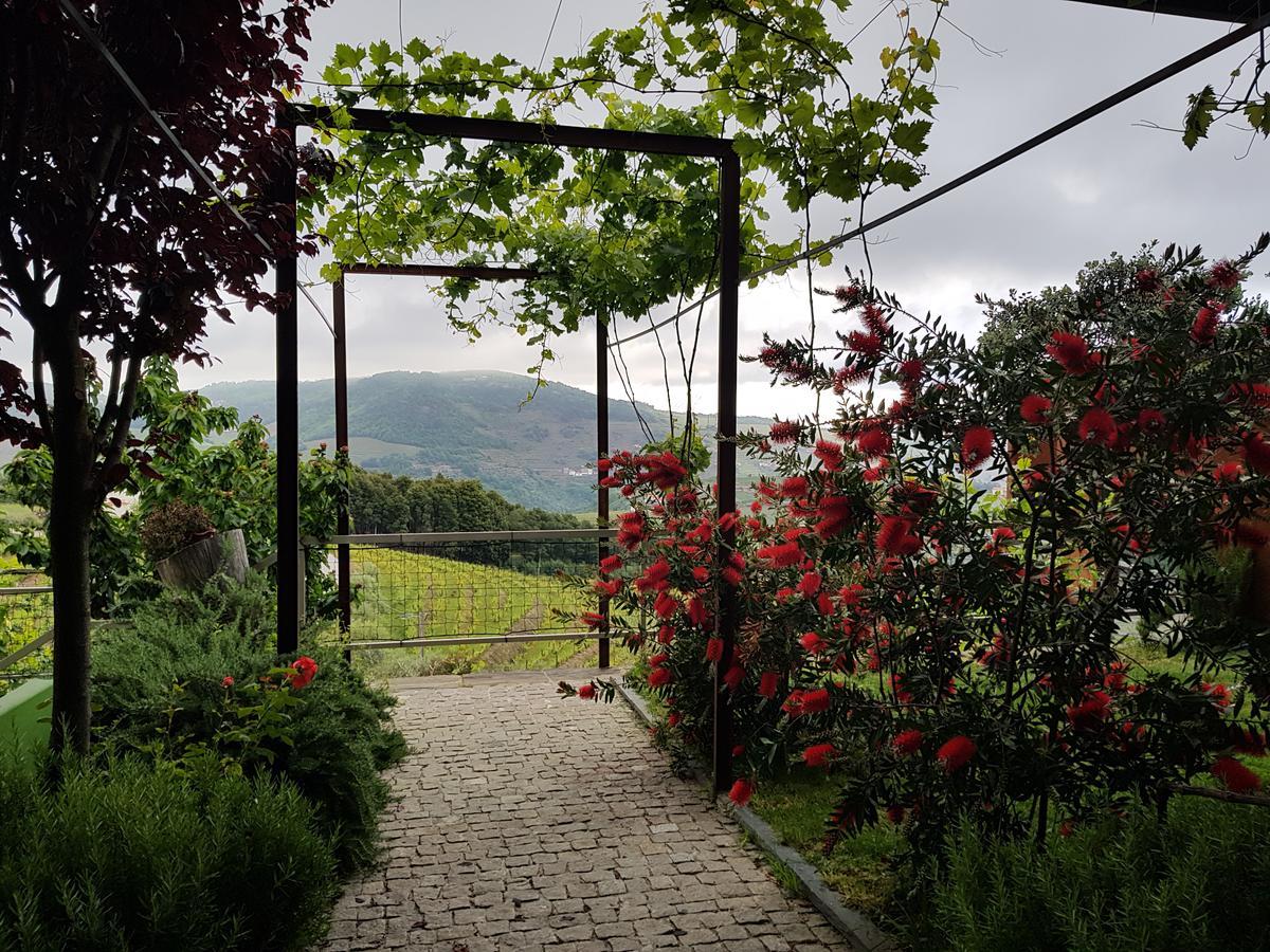 Vila Marim Country Houses Mesão Frio Exterior foto